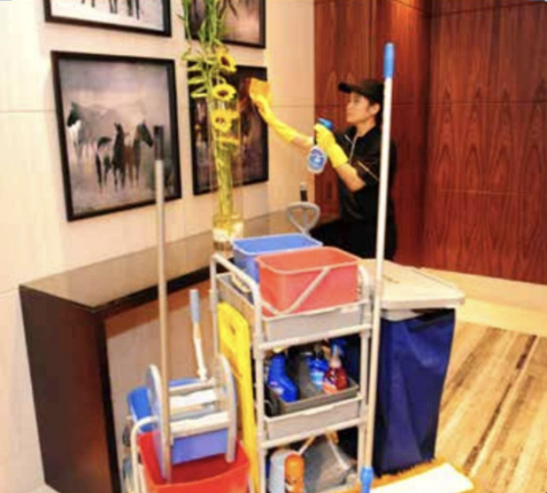 Eco Green Empire team